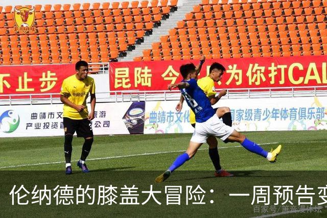 伦纳德的膝盖大冒险：一周预告变三周的神秘旅行