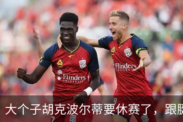 大个子胡克波尔蒂要休赛了，跟腱和秋天的落叶一样不堪一击！