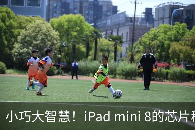 小巧大智慧！iPad mini 8的芯片秘密大揭秘